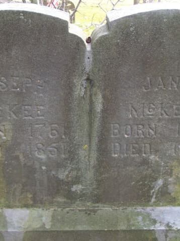 Harriet Laura Hawkins