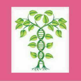 dna - England