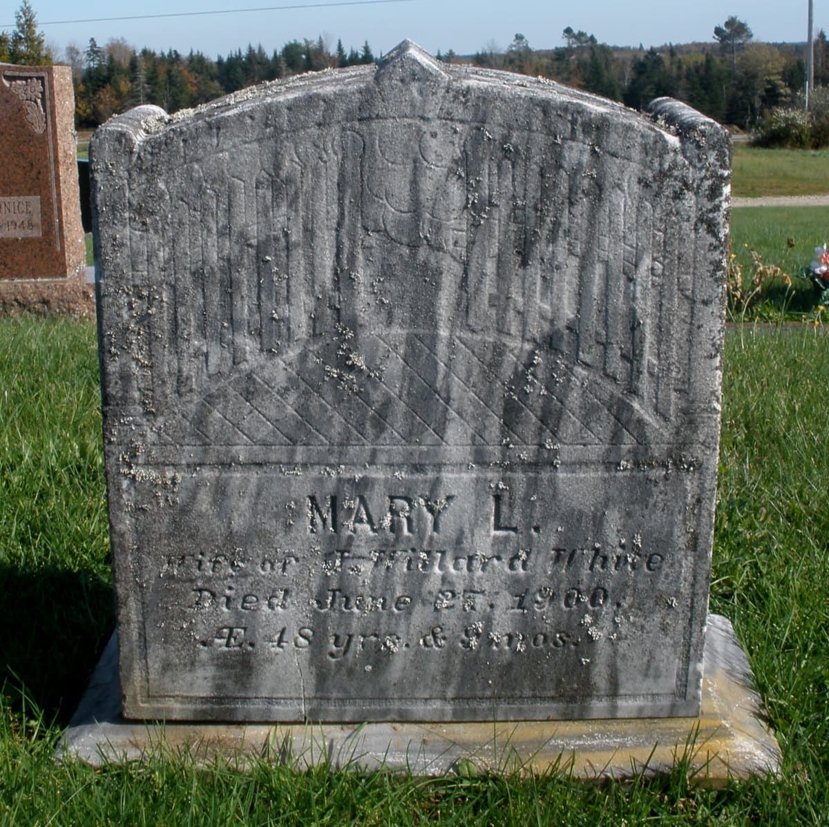 Mary L Caler