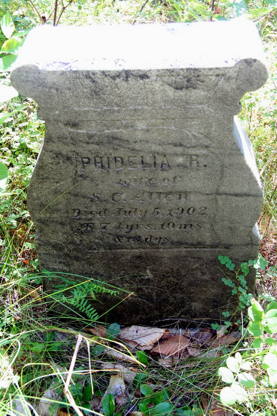 Phidelia R. Tenney