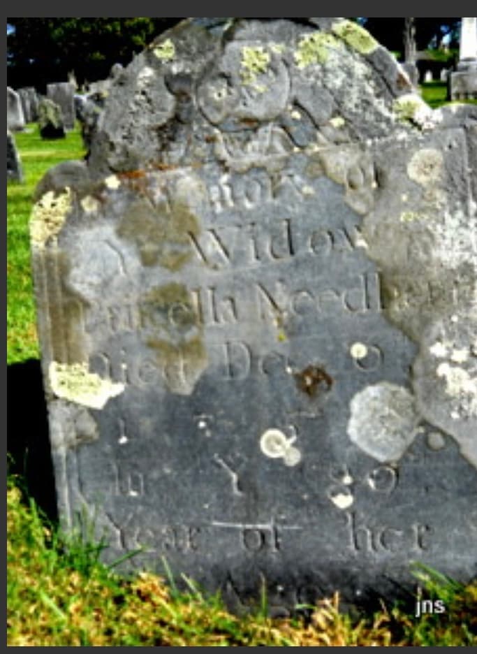 Priscilla Halsey