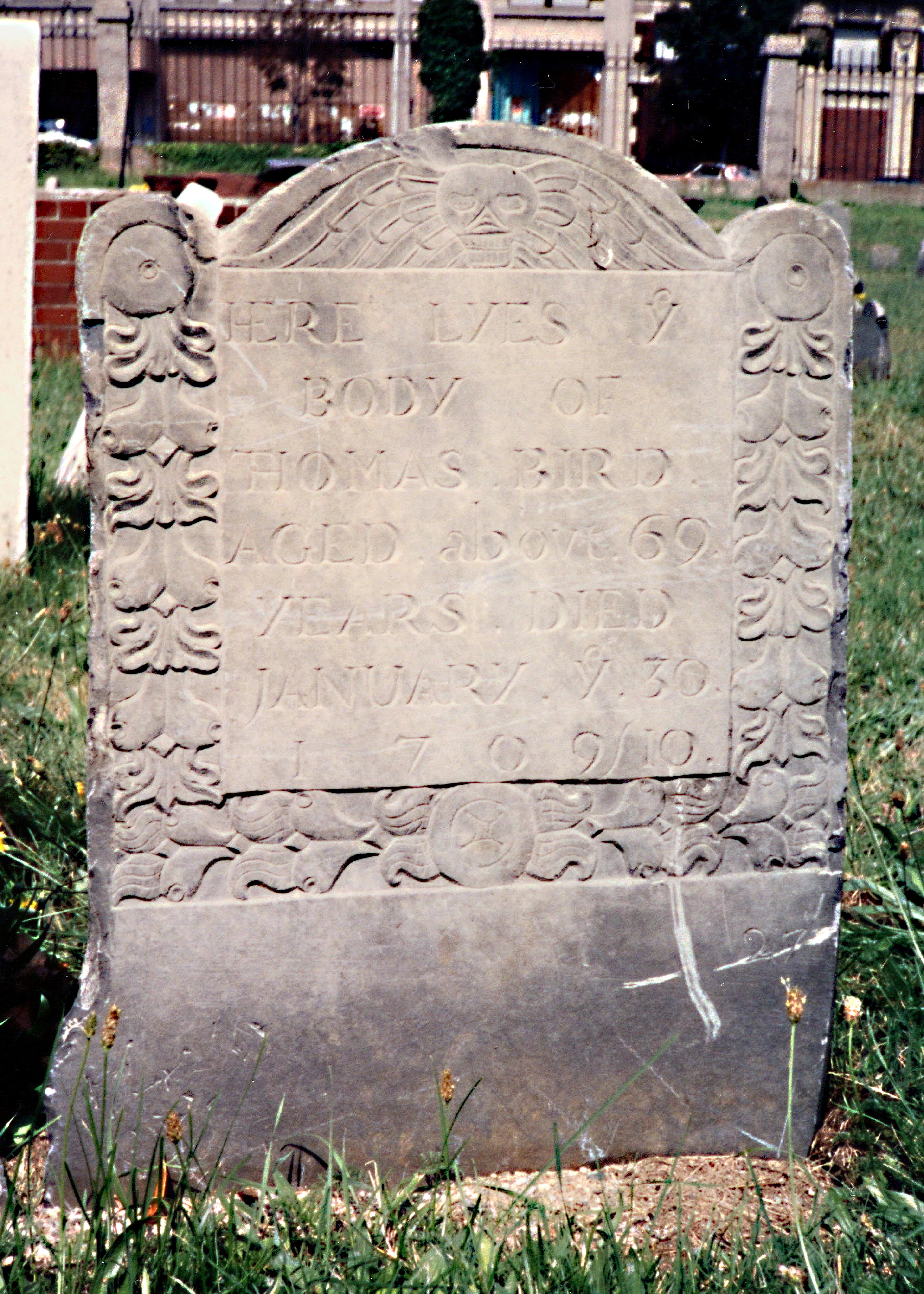 Thomas Henry Robertson Bird